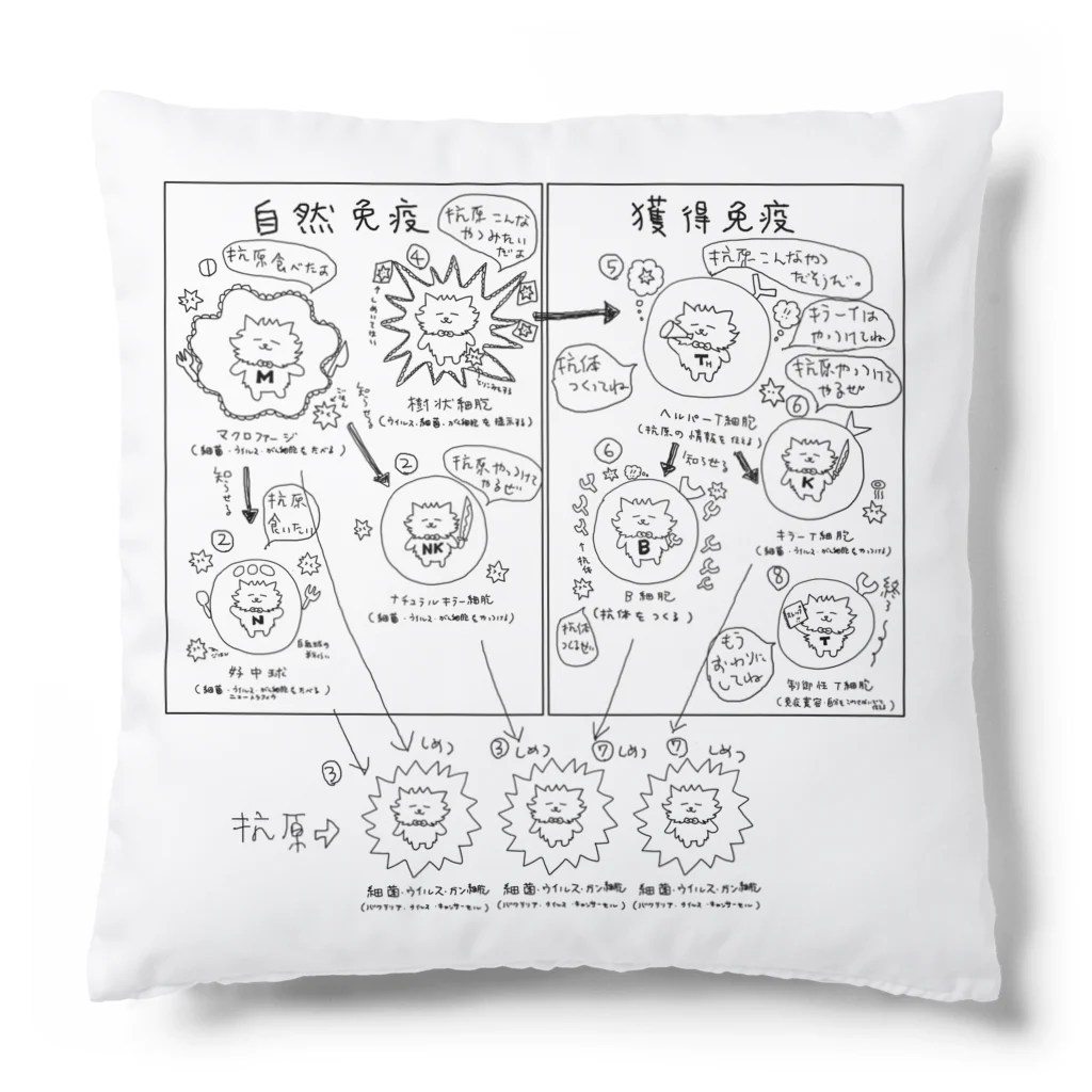 ネコグラシの自然免疫獲得免疫 Cushion