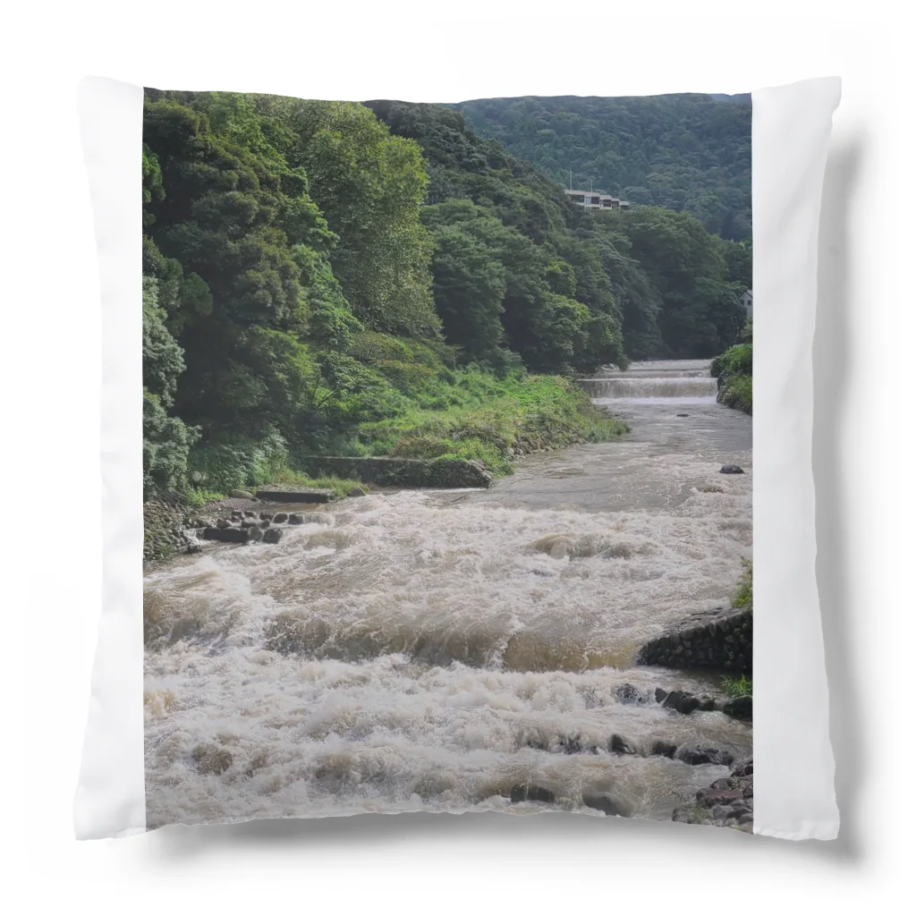 TACOIKAのHakone　RainyDay Cushion