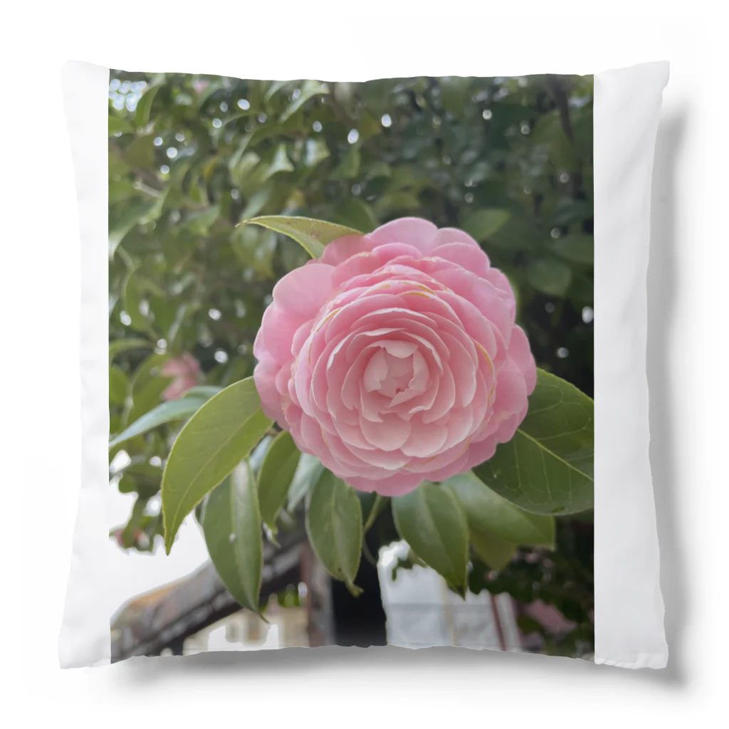 AQUAMETAVERSEの花ブローチ アメジスト2846 Cushion