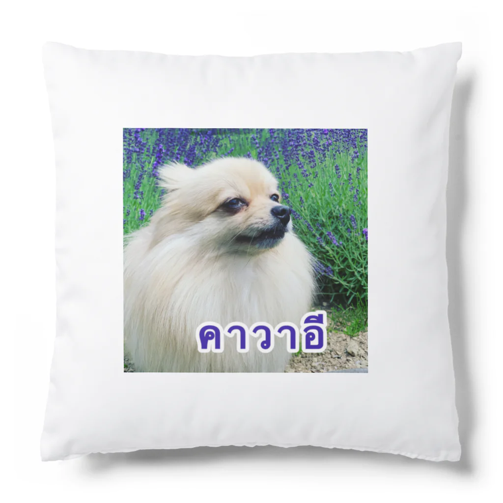 もふもふポメ　のもふもふポメ Cushion