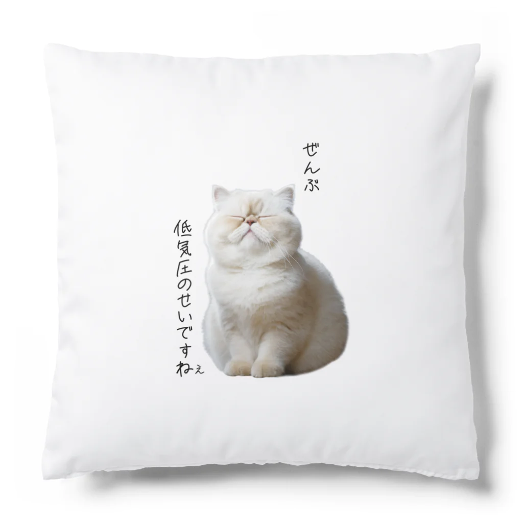 .nekoの低気圧 Cushion