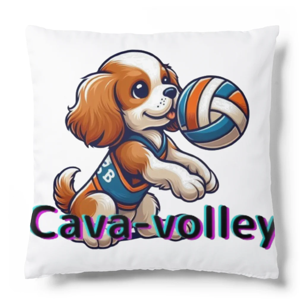 cava-sports　【キャバースポーツ】のcava-volley Cushion