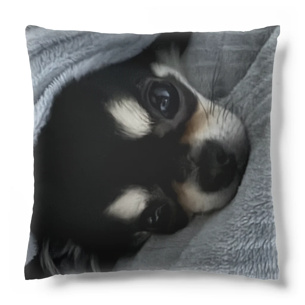 我が家の愛犬のぬくぬくモコ Cushion