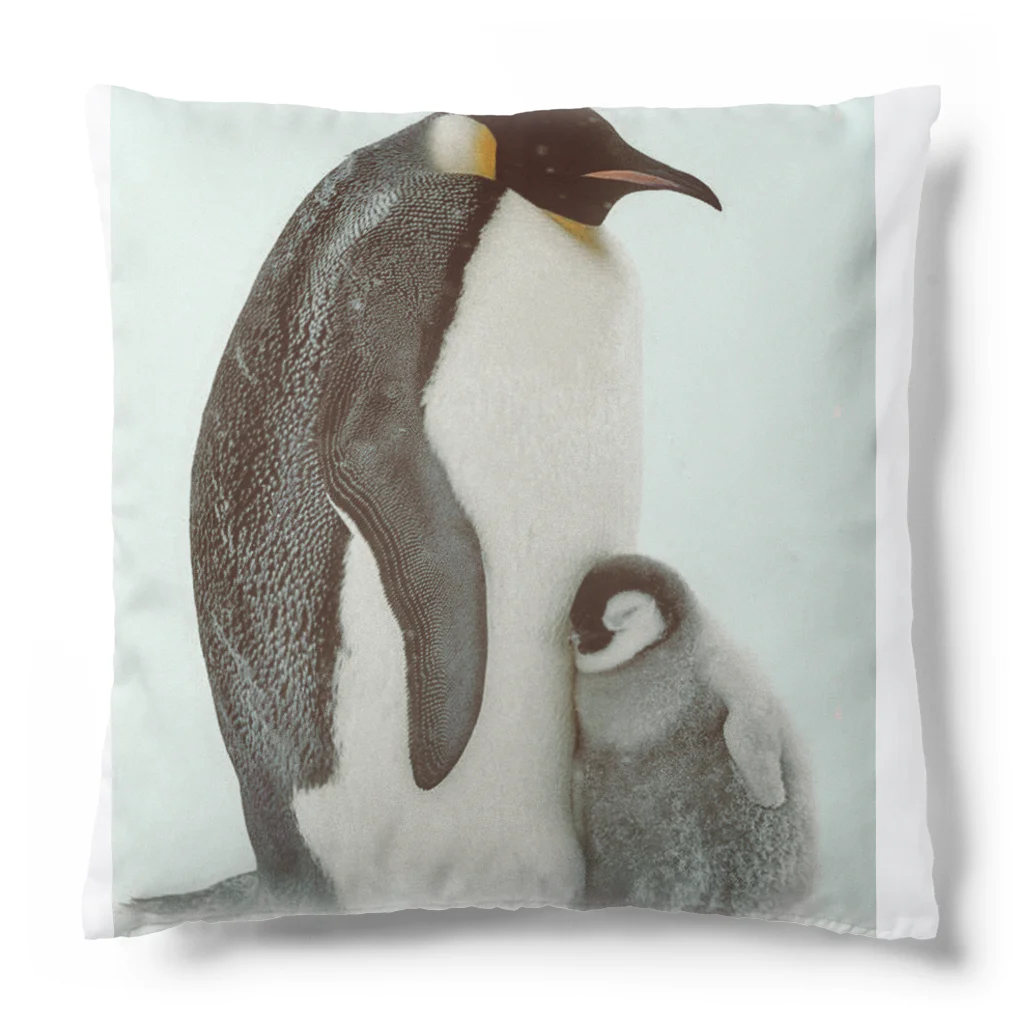 SWQAの皇帝ペンギン Cushion