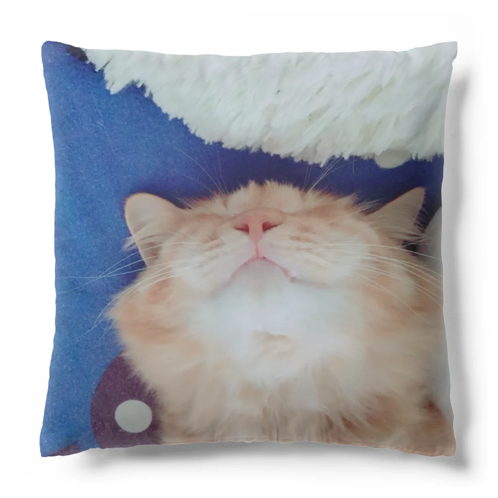 Mizuki・ASIA CATのcoco Cushion