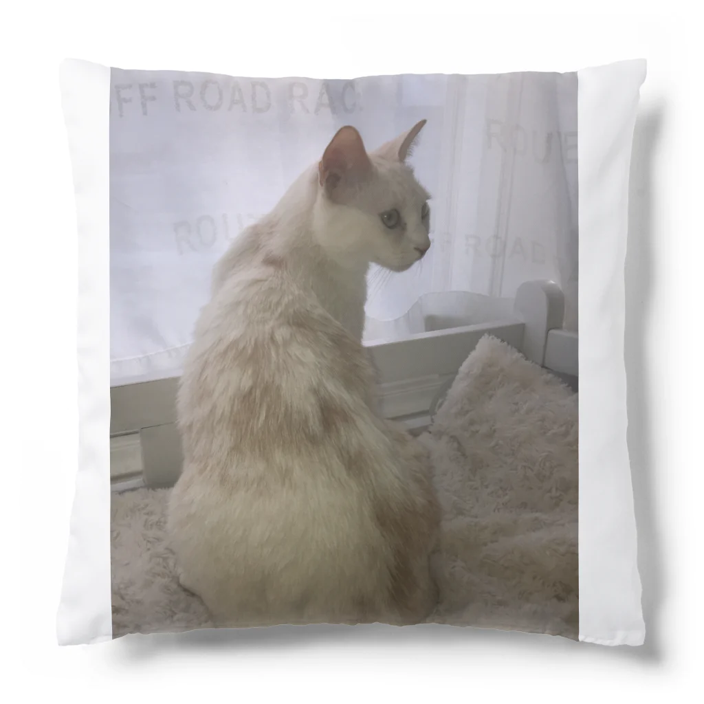 Mizuki・ASIA CATの後ろ美猫MILU🐾 Cushion