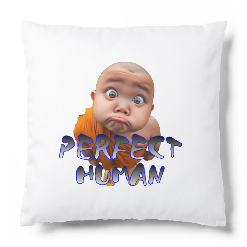 ニゴ猫　shopのPERFECT HUMAN Cushion