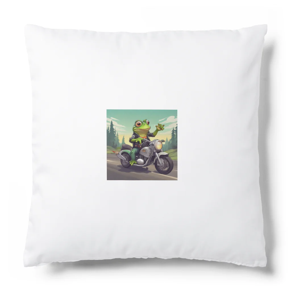 二宮大輔のカエルライダー4兄弟　3男　パオロ Cushion