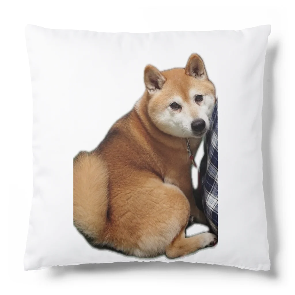 はまの柴犬むさしくん Cushion