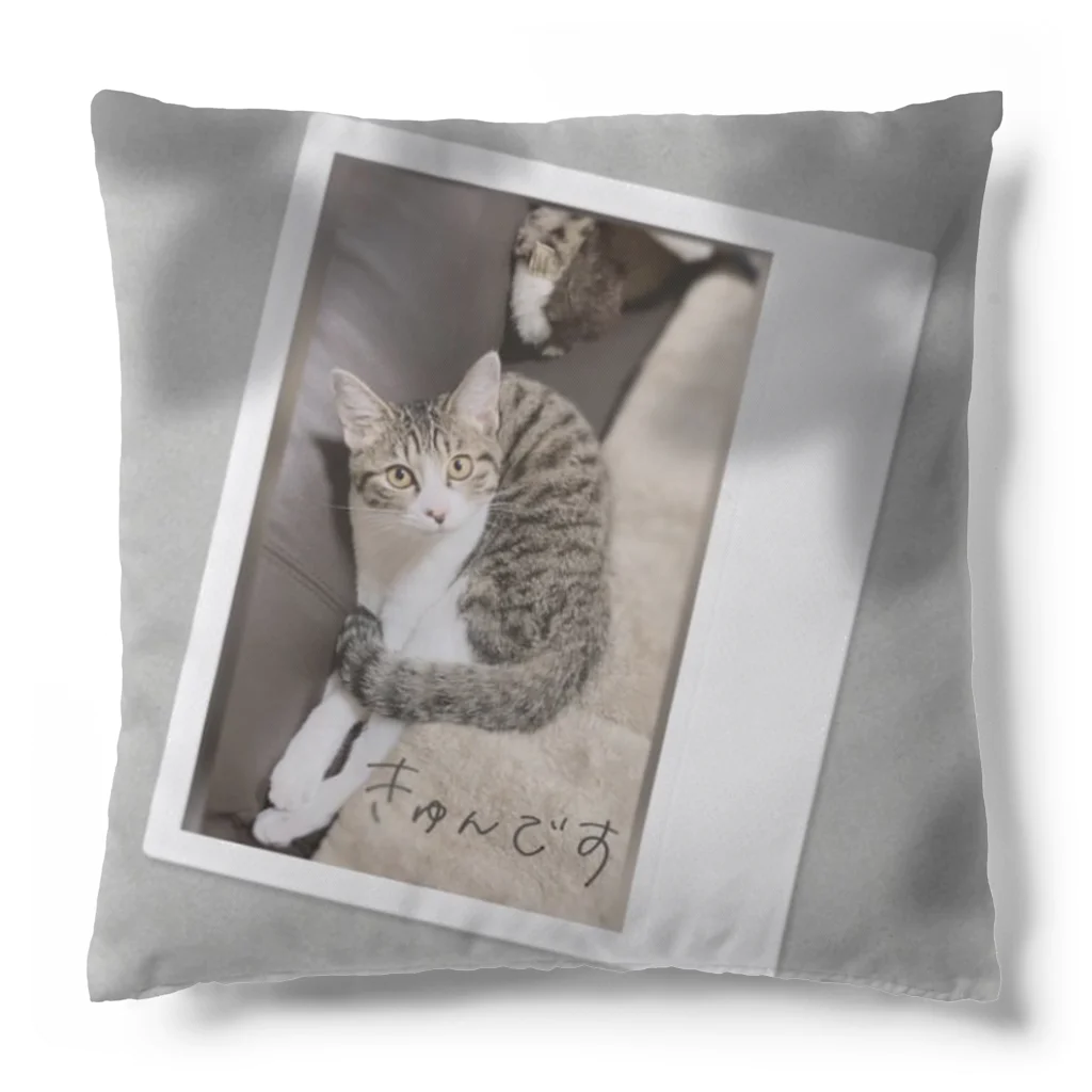 Mizuki・ASIA CATのきゅんです🫰 Cushion