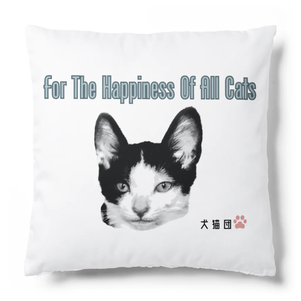 kossat-shopの保護猫源ちゃんデビュー！ Cushion