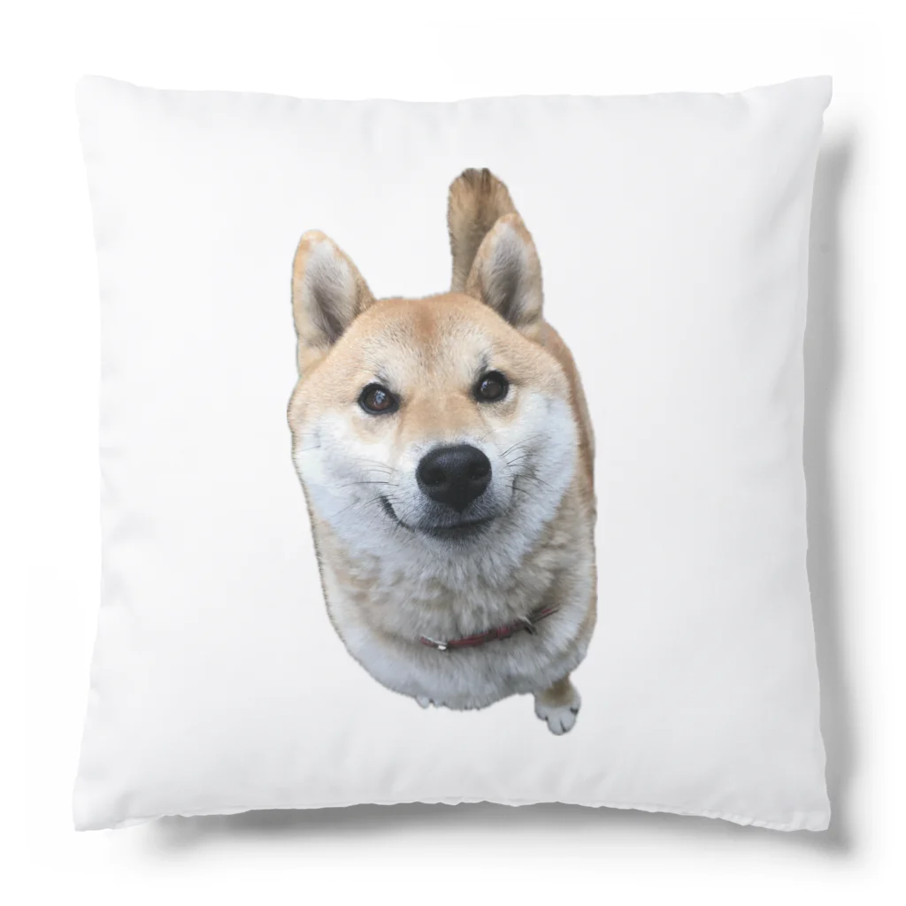 つくしミッフィーあかりのお店の柴犬あかり Cushion