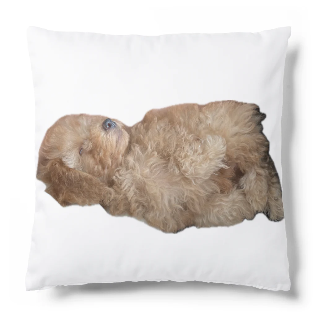 ちょっと変なアラサーの限界犬 Cushion