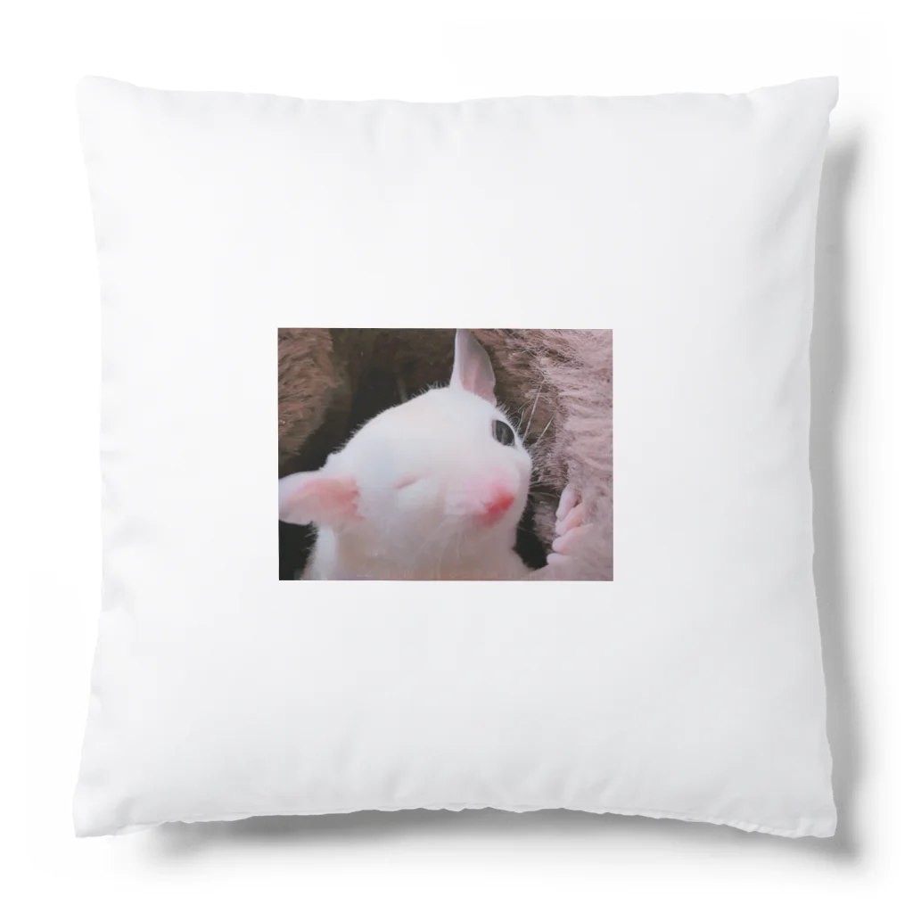 もち家族❣️のもち家族 Cushion