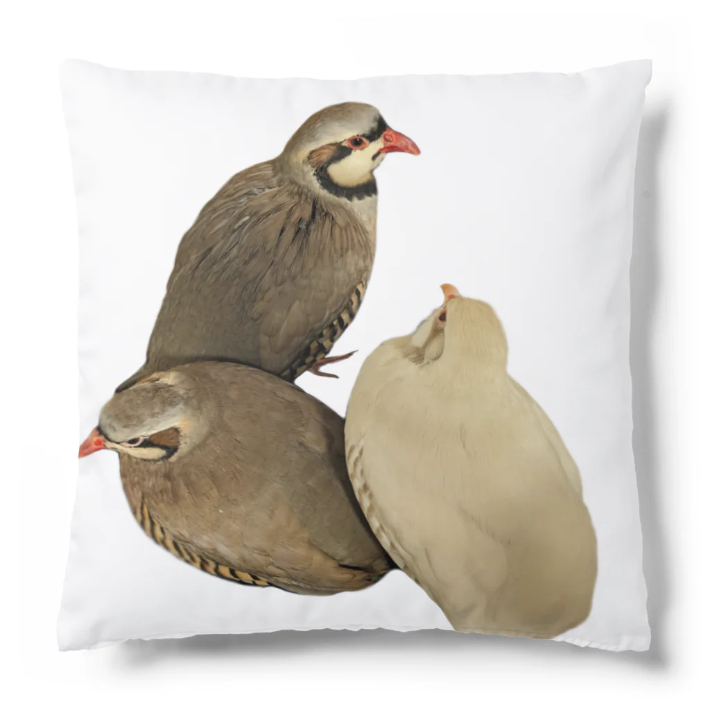 でぶんちょう🦆のぐるぐるイワシャコ Cushion