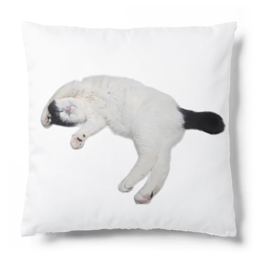 クリスタの尻尾が短い保護猫 たぬちゃん Cushion