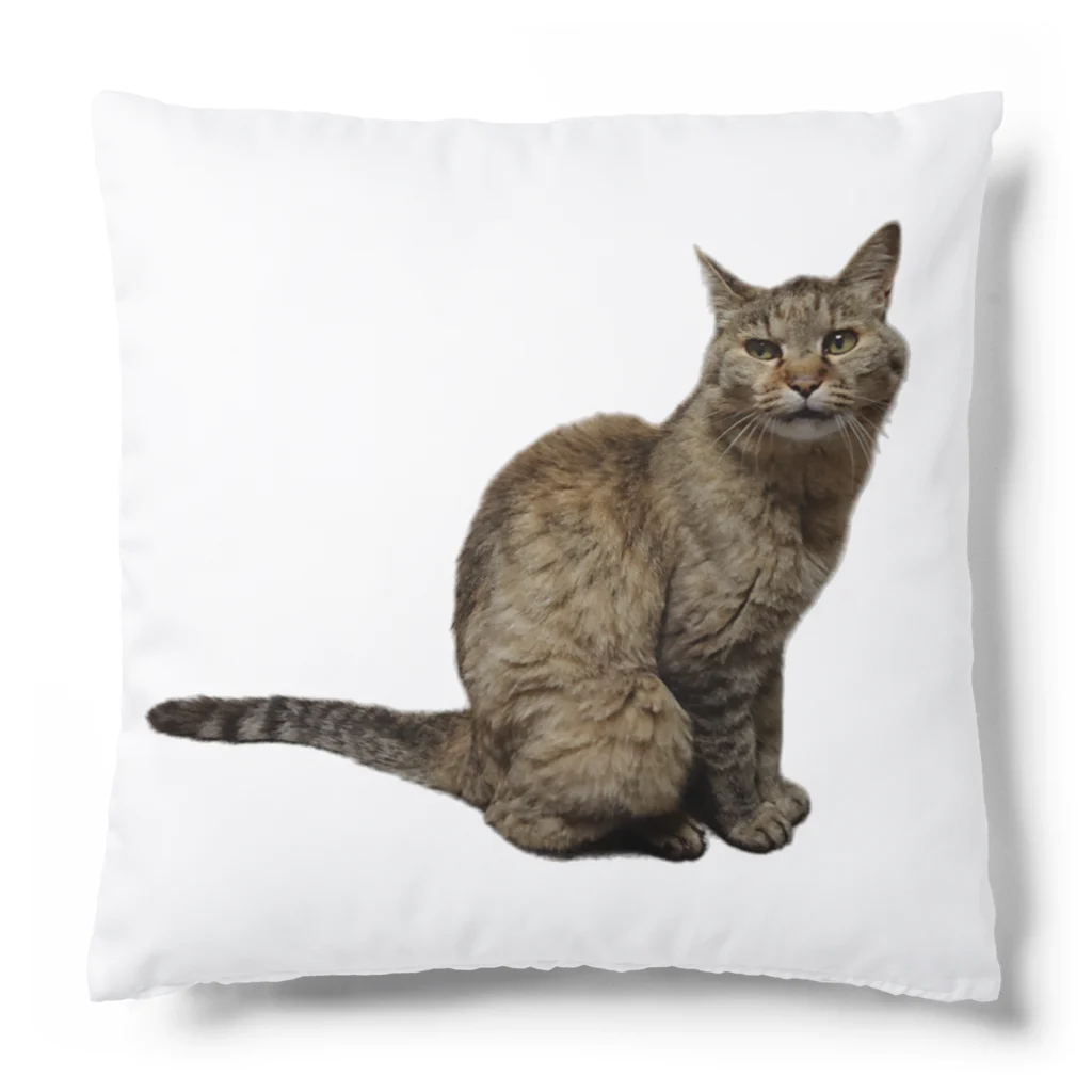 クリスタの保護猫 ポポちゃん Cushion