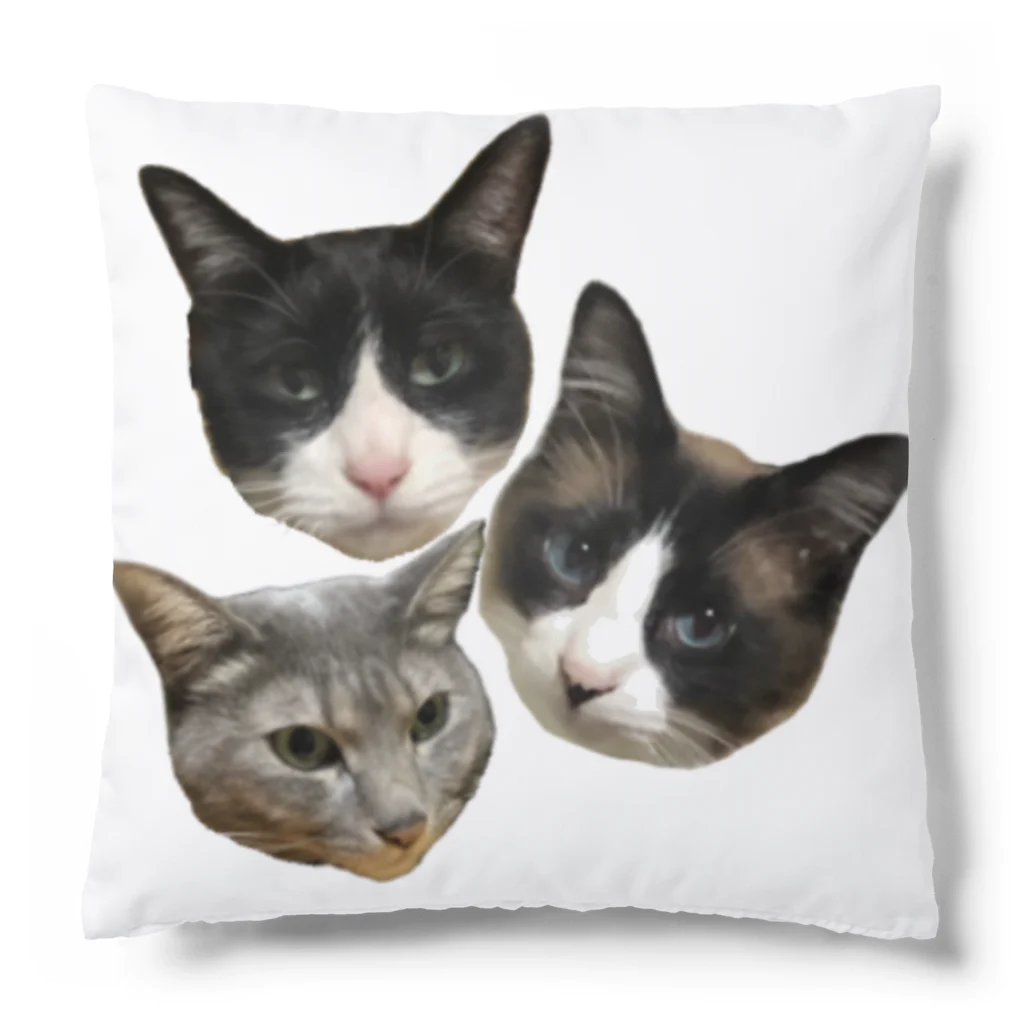 N&P storeの3ニャンズ Cushion