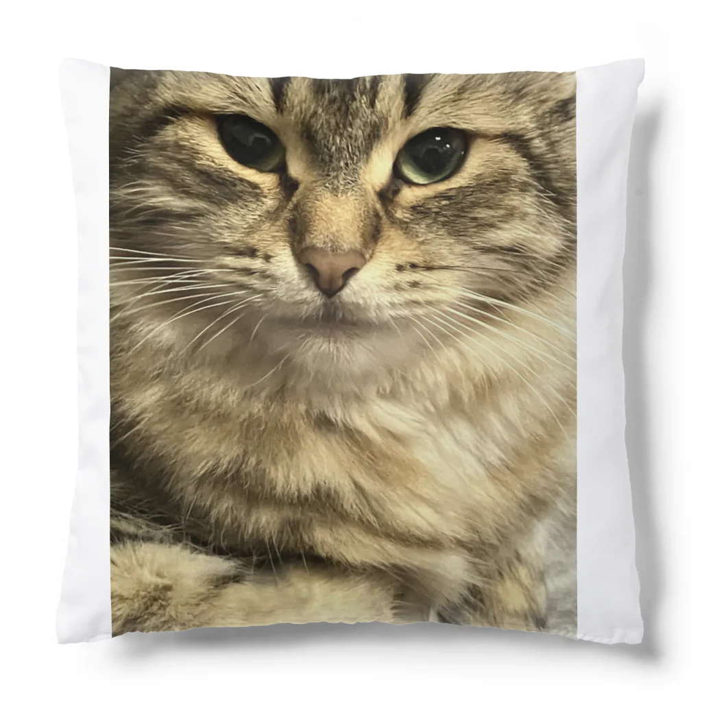 キャットモカの猫のサイベリアン Cushion