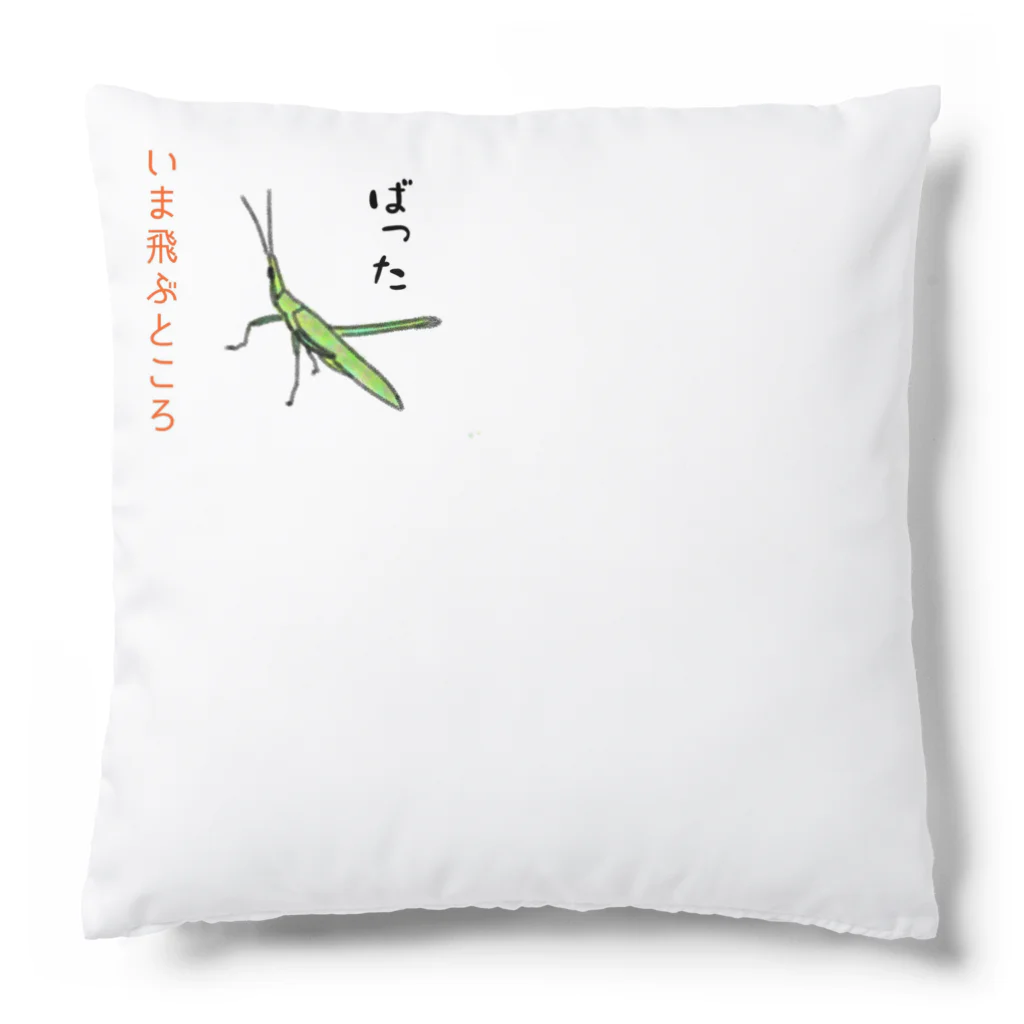 honoeのしんぼるず→ばった Cushion