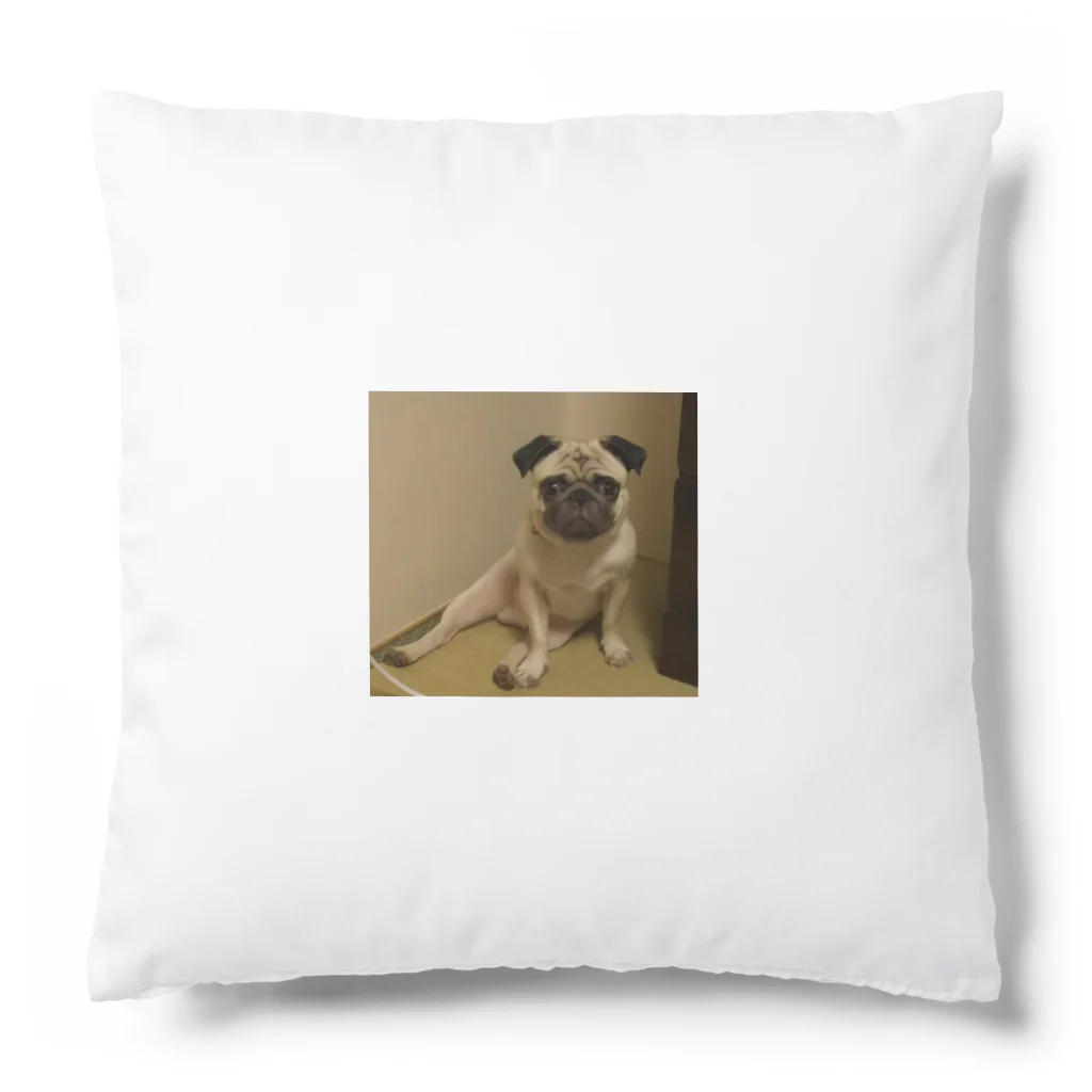 PaguparkのPugのぱぐお Cushion