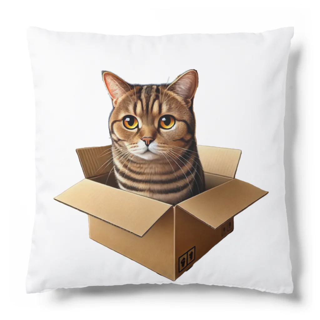 猫の小梅お嬢さんの小梅ちゃん　箱猫 Cushion