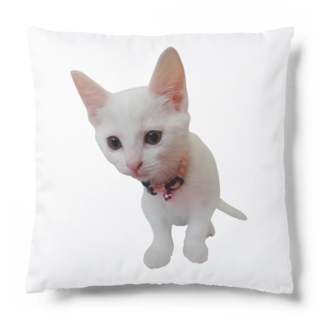 Norinyansのこなつちゃん２ Cushion