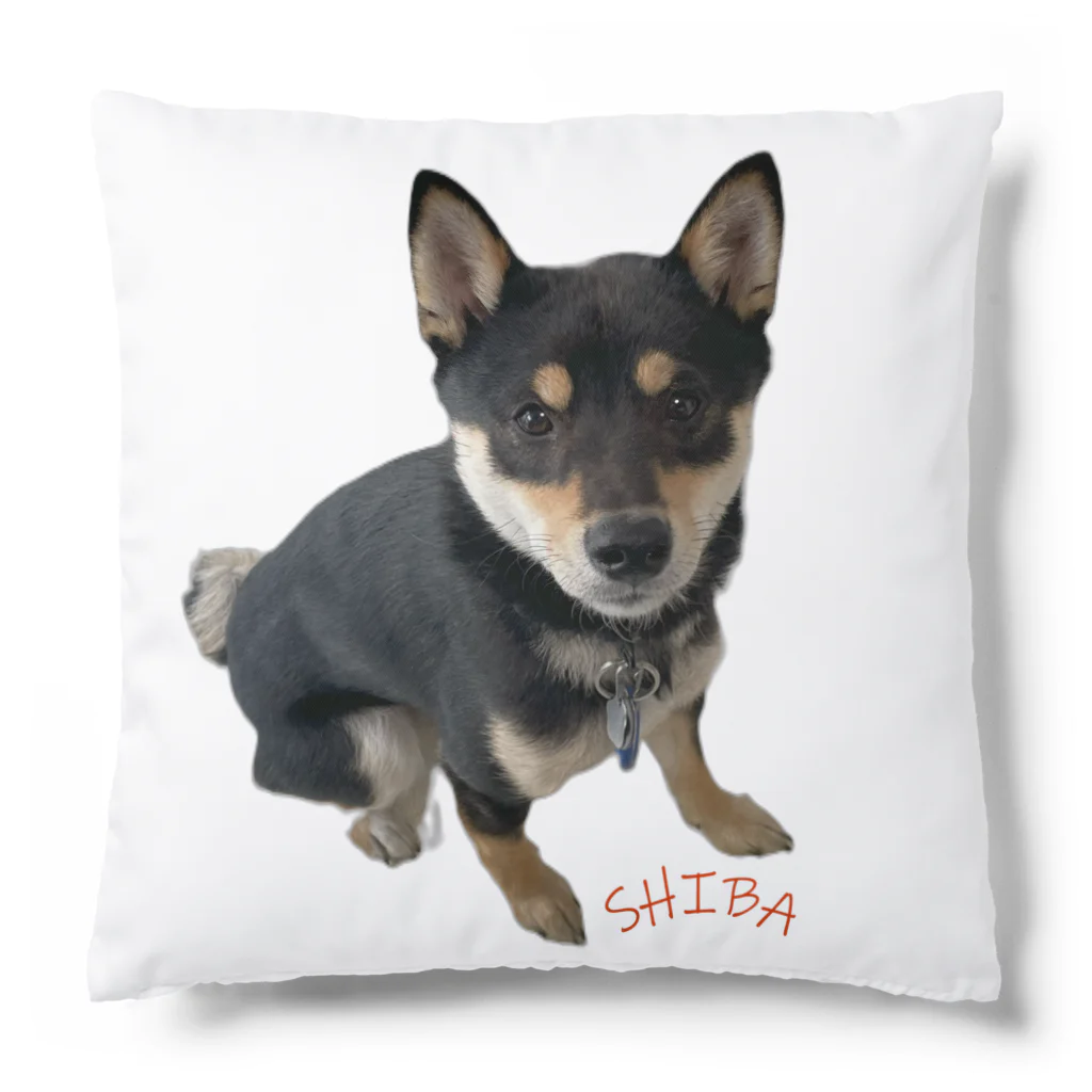 うたた寝の🐾豆柴BOY🐾 世界中で愛される柴犬　1歳 Cushion