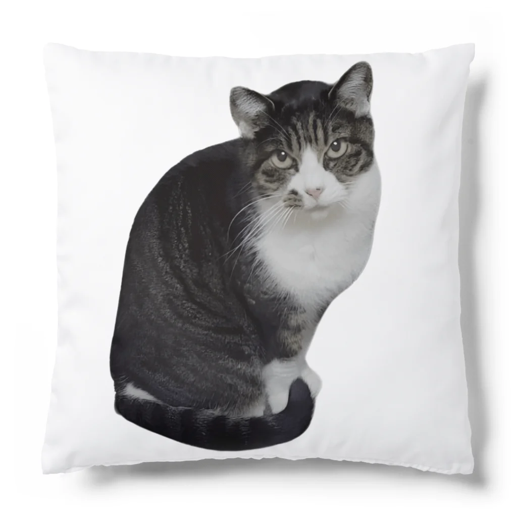 D・K　Design.saitama　ディーケーデザインさいたまのなあや Cushion