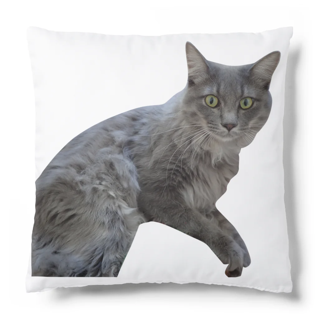 Norinyansの虎くん Cushion