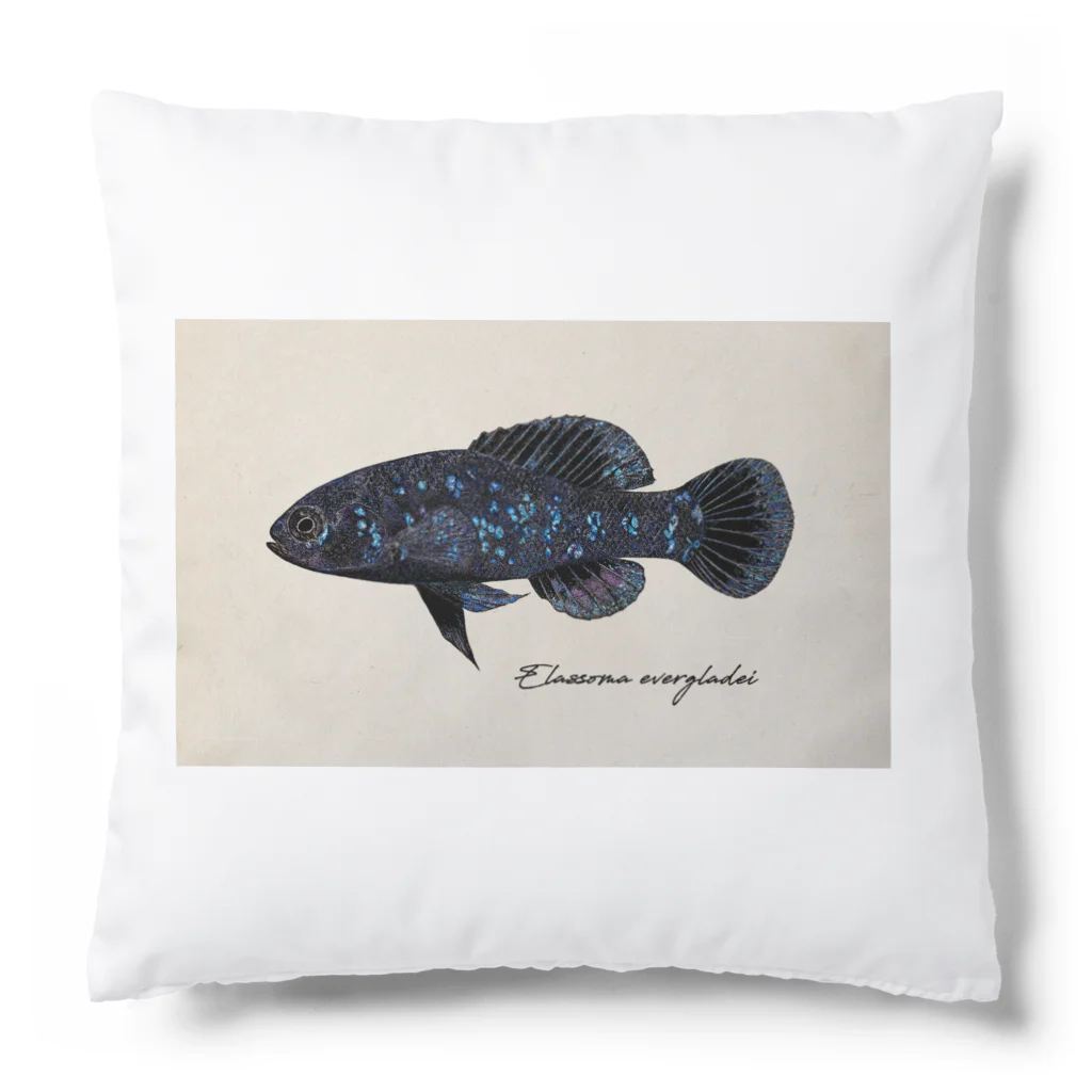 Serendipity -Scenery In One's Mind's Eye-のElassoma evergladei on the paper Cushion