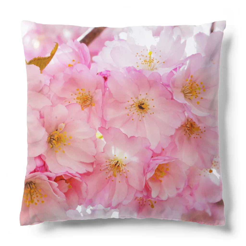 orange_honeyの桜56 Cushion