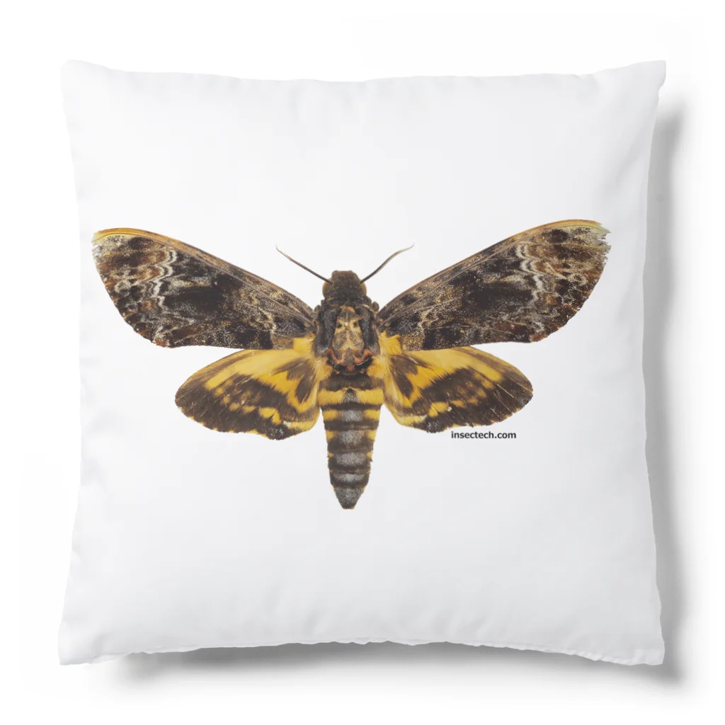 insectech.comのクロメンガタスズメ Cushion