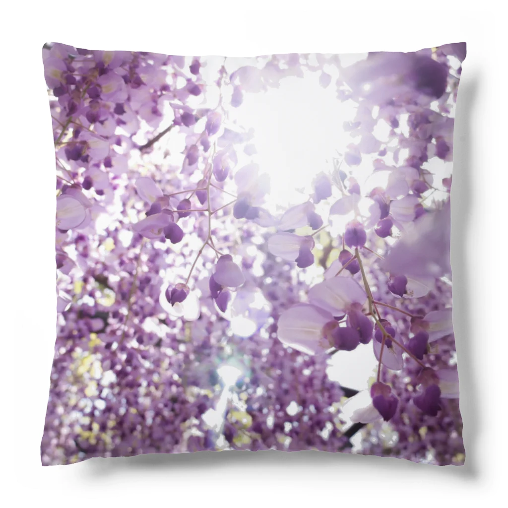 8l0の藤の花　 Cushion