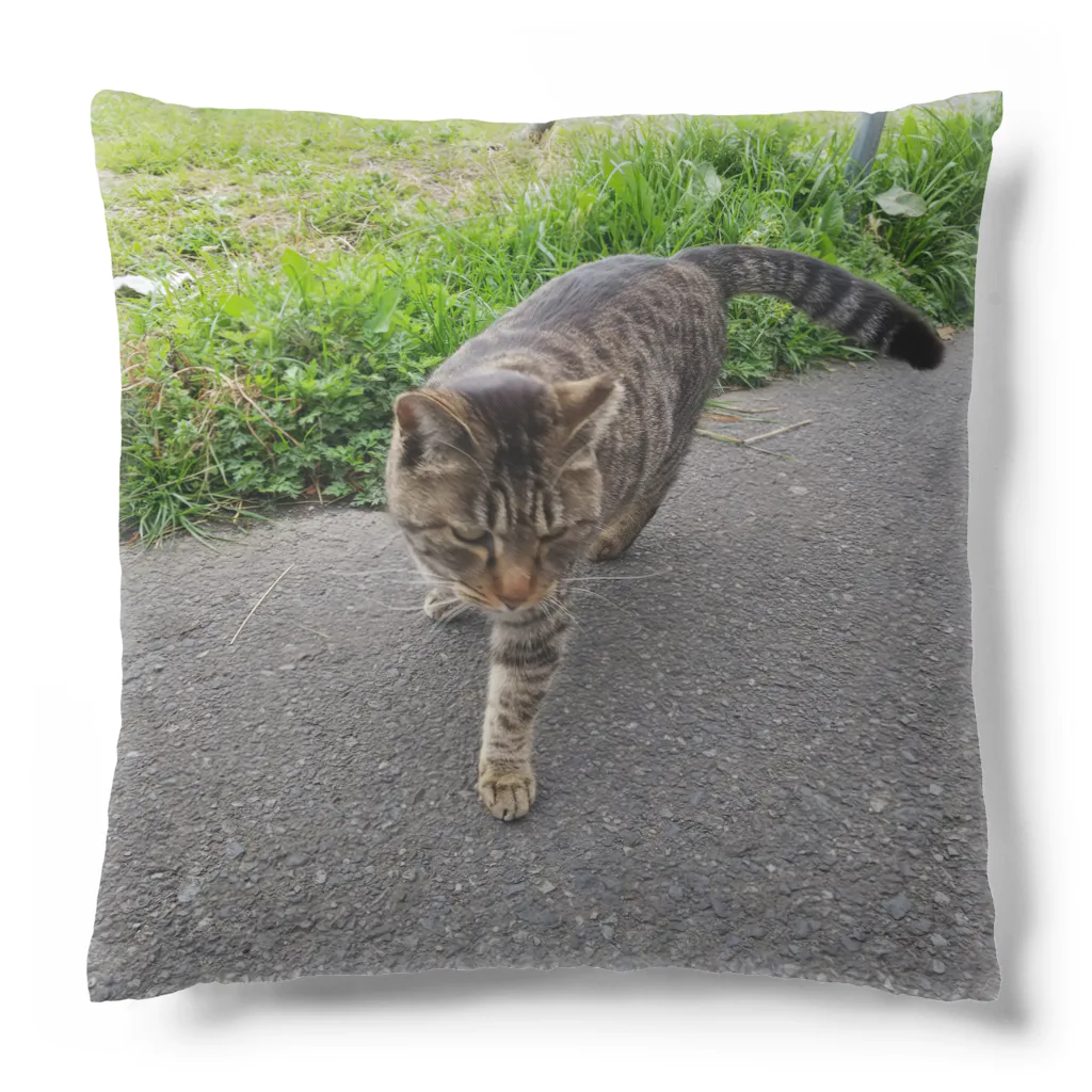 ながしっぽ from.さくらねこの家のとらちゃん　type.D Cushion