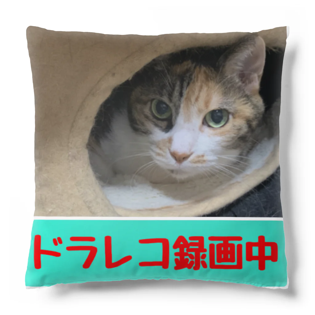 ko+nekoのみぃにゃん＊ただいま監視中 Cushion