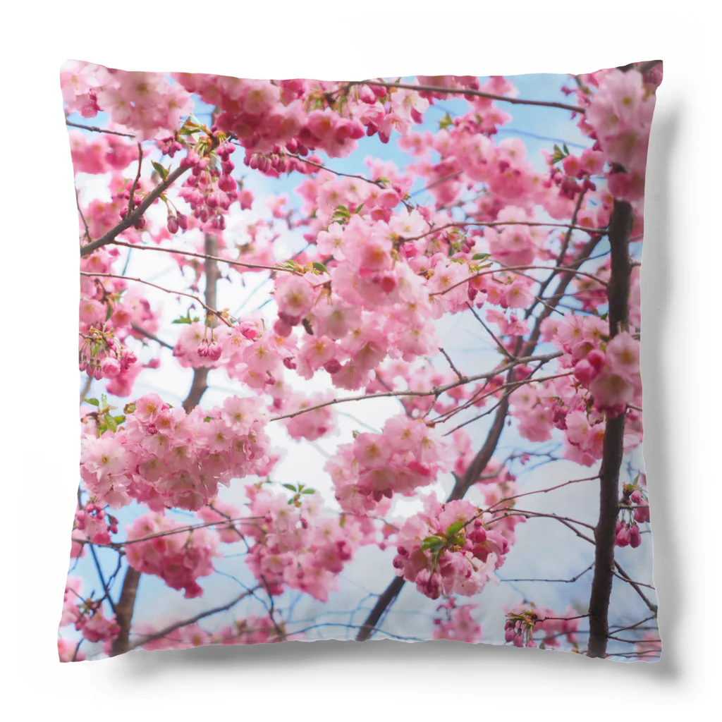 orange_honeyの桜84 Cushion