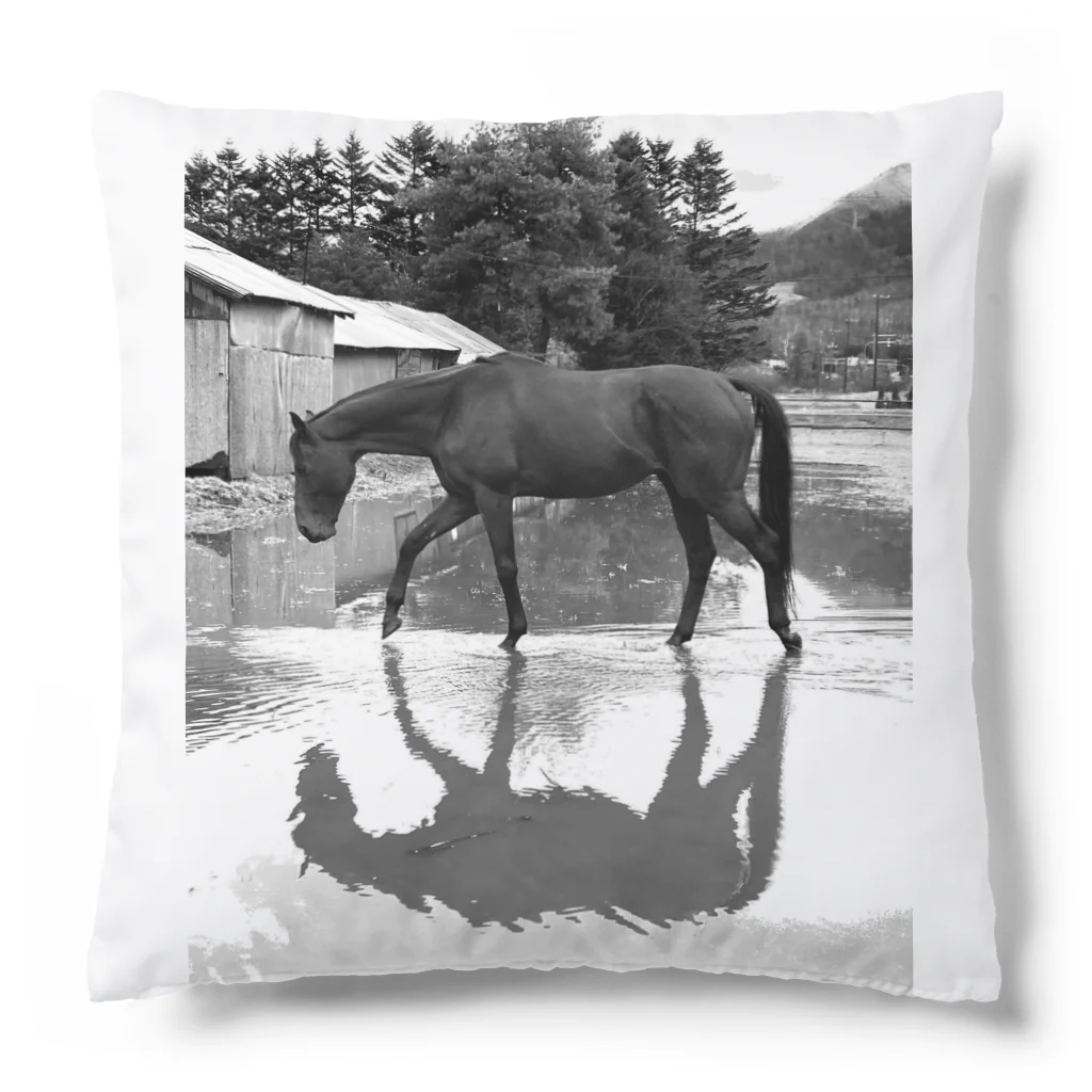 北のうまやの雨上がりの馬　引退競走馬インディ Cushion