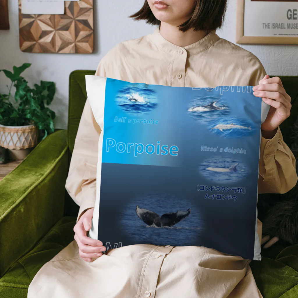 L_arctoaのイルカとクジラの違い Cushion