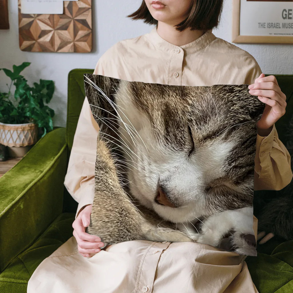 あゆのしおやきの猫(キジシロ) Cushion