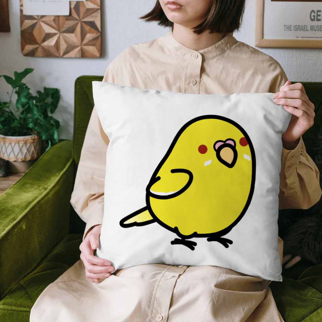Cody the Lovebirdの（両面）セキセイインコ Chubby Bird Cushion