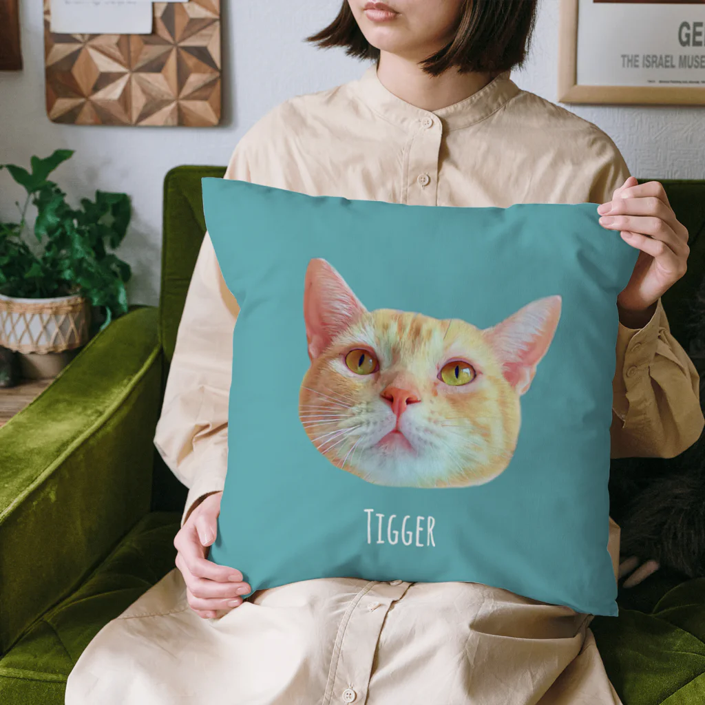 猫カフェラグドール（大阪難波）のちーちー Cushion