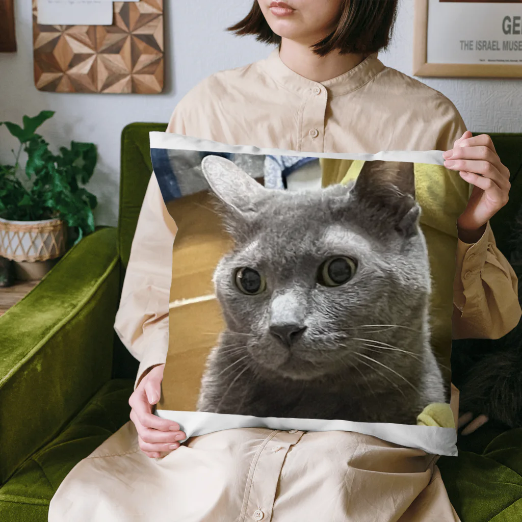 あこの実家の猫 Cushion