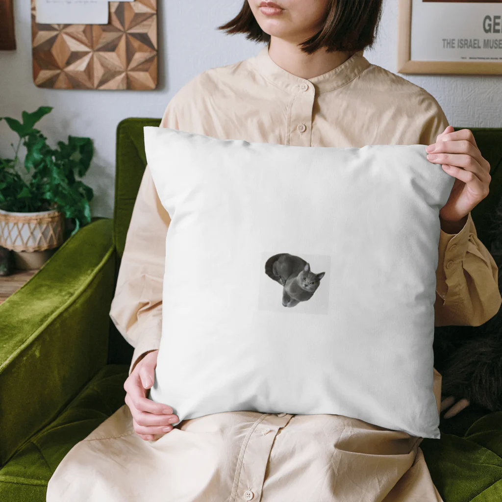 もふまるファミリーのハクちゃん Cushion