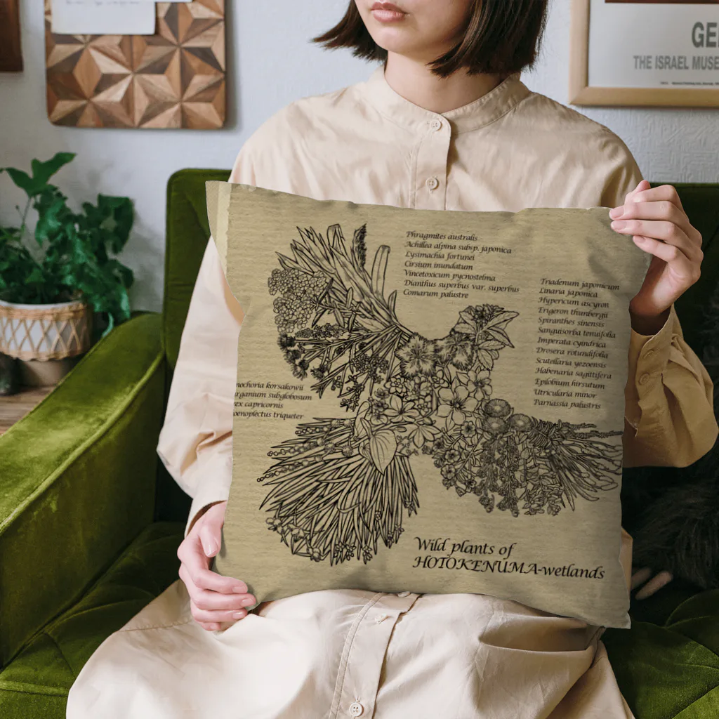 雁花工房（寄付アイテム販売中です）のWild plants of HOTOKENUMA-wetlands（黒線+白線） Cushion