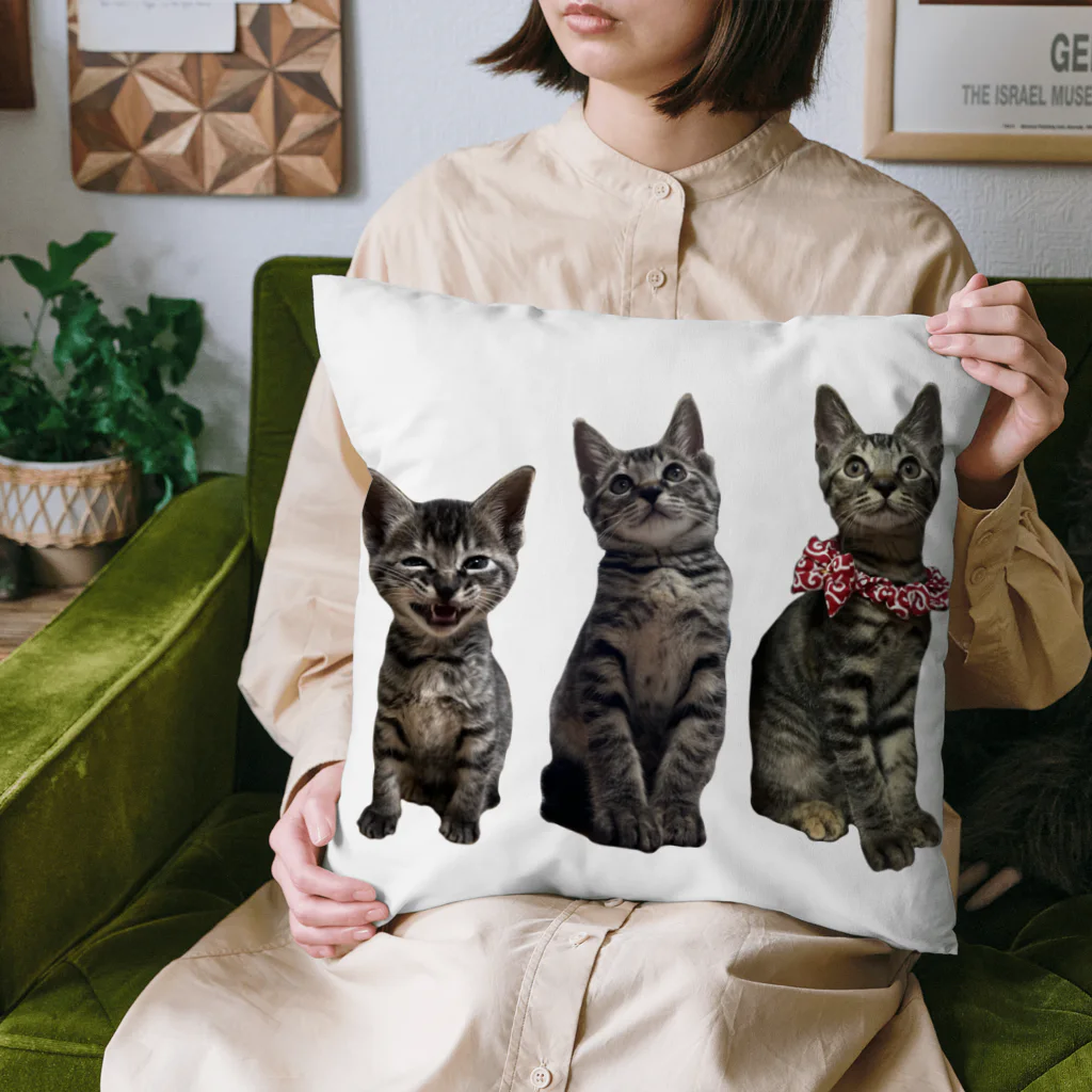 ブティックNENE🐾のネネの仔猫時代 Cushion