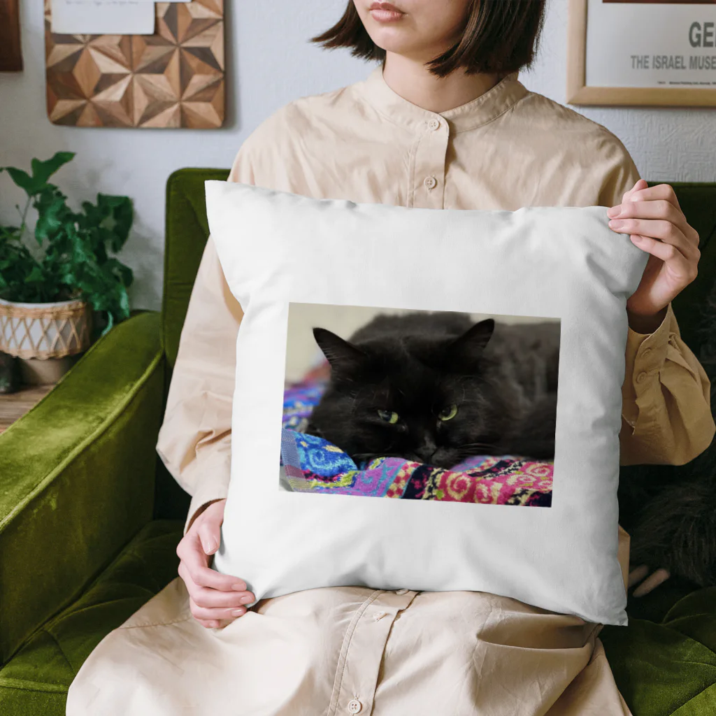 くろねこのやまやま Cushion