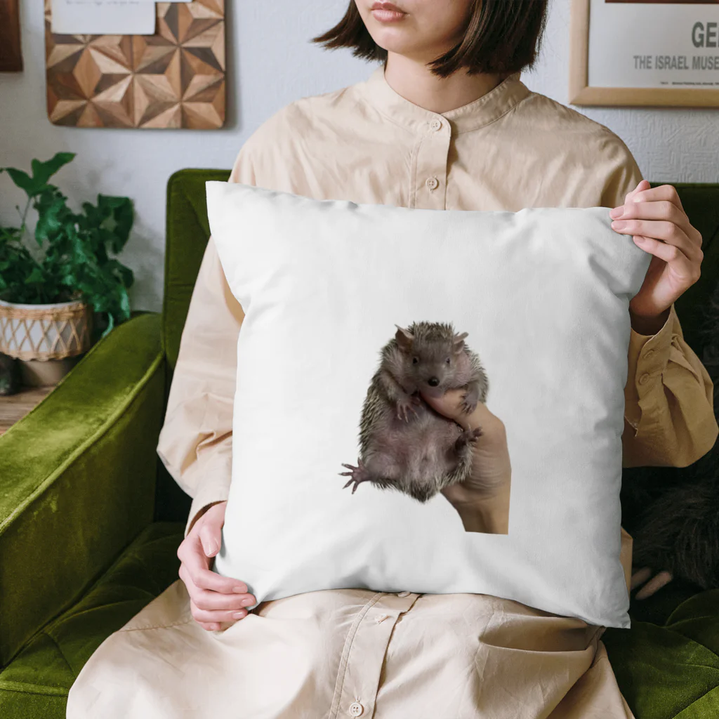 杏仁豆腐のヒメハリテンレックのココちゃん Cushion