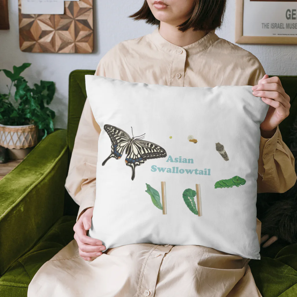 kitaooji shop SUZURI店のナミアゲハの発生サイクル Cushion