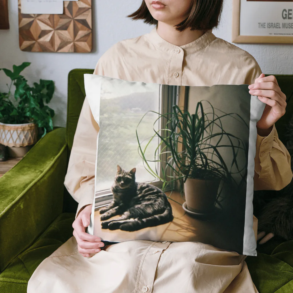 毎日ころりんの猫の写ルンです Cushion